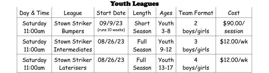 diamond-lanes-south-youth-leagues-2023.jpg